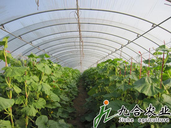 种植温室