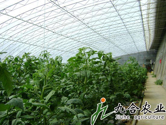 种植温室