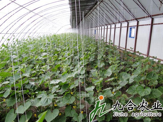 种植温室
