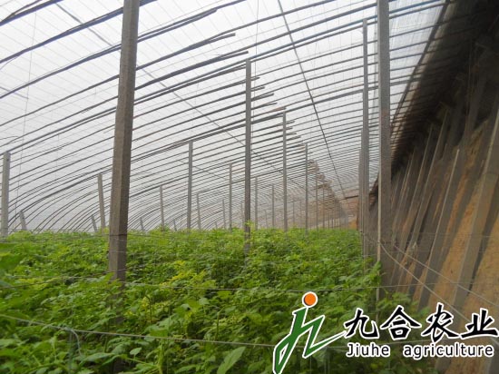 种植温室