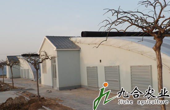 砖墙体日光温室