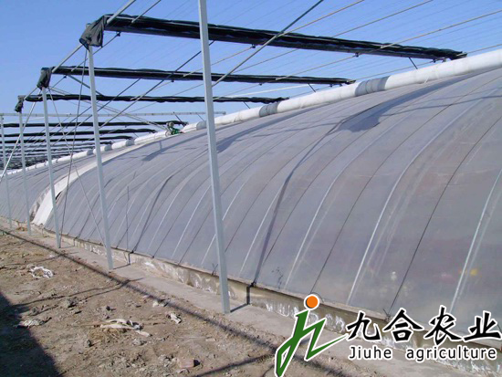 砖墙体日光温室