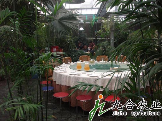 生态餐厅智能温室