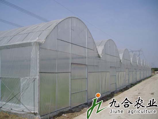 简易连栋温室