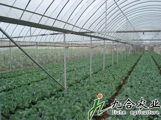 简易连栋温室