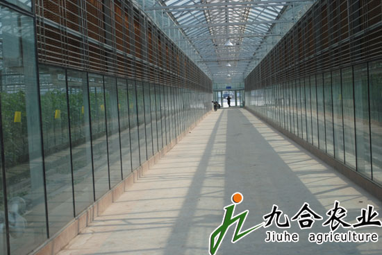 玻璃连栋智能温室