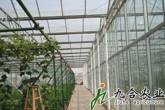 玻璃连栋智能温室