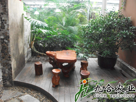 新疆伊犁霍城生态餐厅（玻璃连栋智能温室）