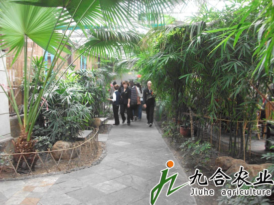 新疆伊犁霍城生态餐厅（玻璃连栋智能温室）