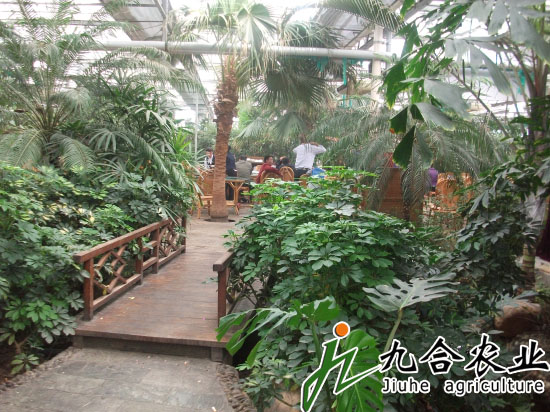 新疆伊犁霍城生态餐厅（玻璃连栋智能温室）