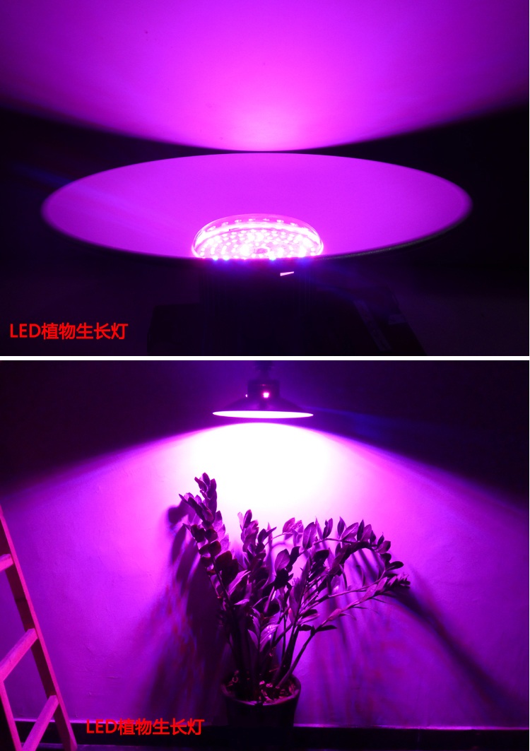 智能温室Led植物生长补光灯