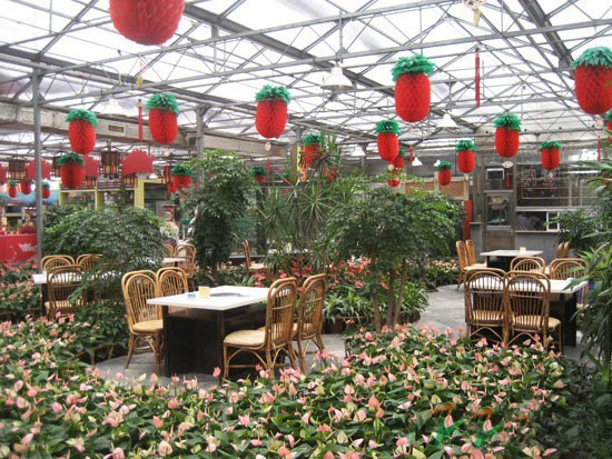 智能温室生态餐厅内景