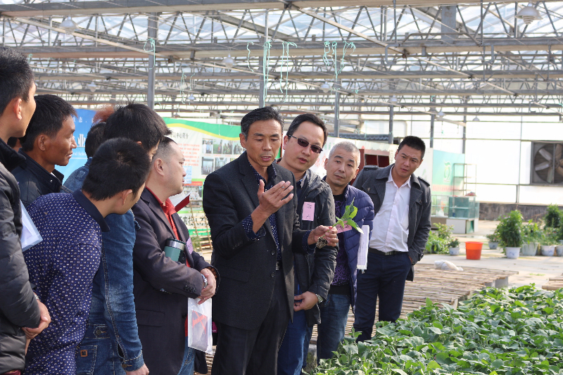 进入蔬菜育苗生产基地