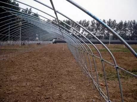 建议菜农换茬时一定要做好大棚前脸清理工作