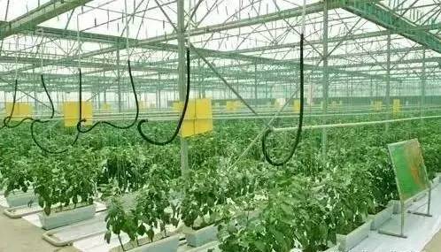 设施农业是个新的生产技术体系