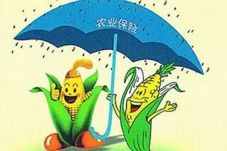 设施农业的助推器：保险