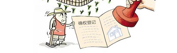 土地确权