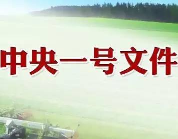 中央一号文件全文发布