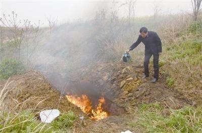 彻底处理病残株，集中烧毁或深埋，压低虫源基数