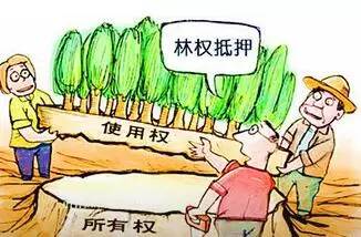 林权抵押贷款