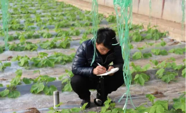 学员在实践基地学习