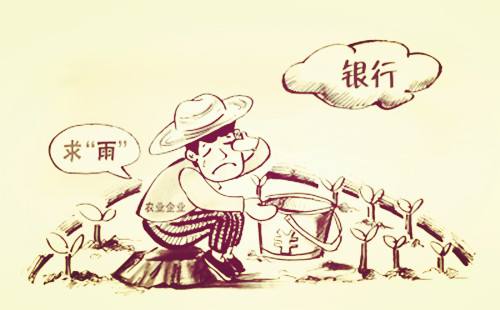 做农业缺钱
