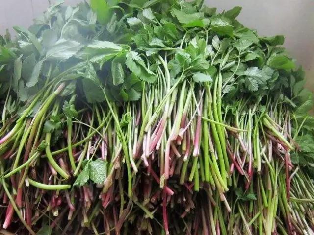 野菜