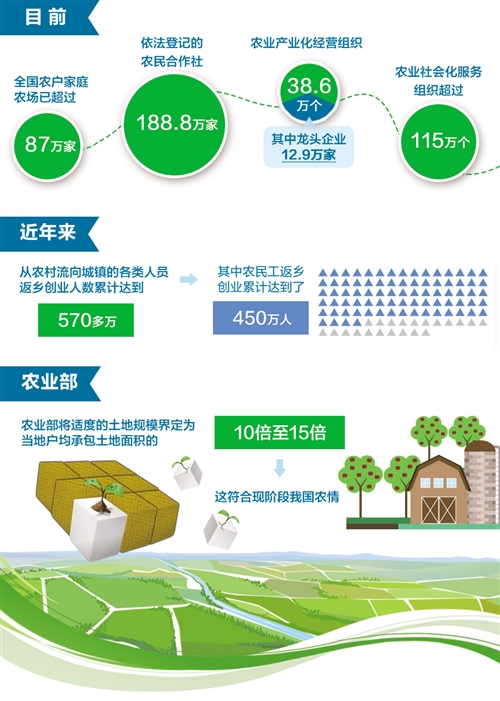 新型农业经营主体