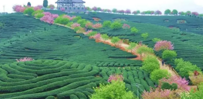 乡村旅游