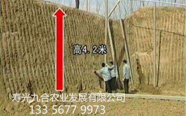 后墙高度