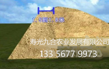 后墙的上顶宽度是1.5-1.8米