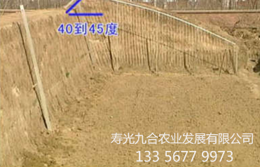 后墙凸起水平夹角是40-45度