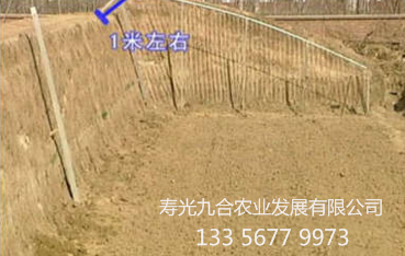 后坡凸起的长度