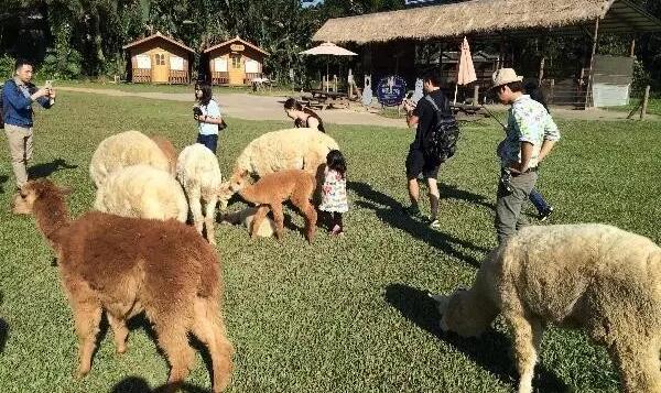 农耕体验.jpg