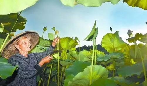 助力脱贫.jpg