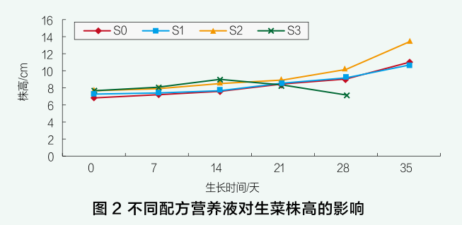 图2 不同配方营养液对生菜株高的影响