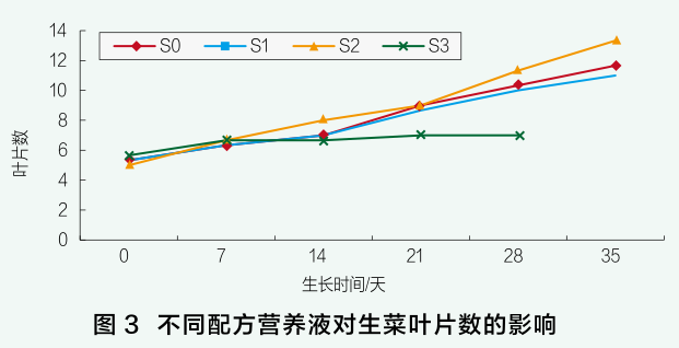 图3 不同配方营养液对生菜叶片数的影响