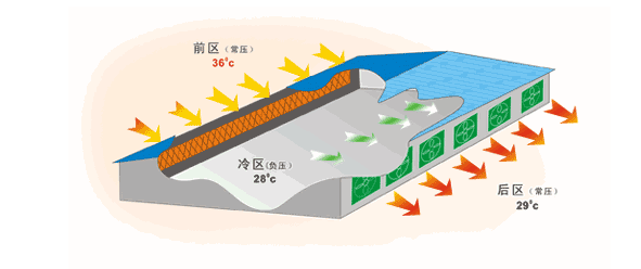 风机水帘降温系统