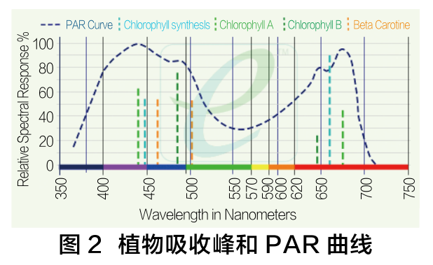 图2 植物吸收峰和PAR曲线