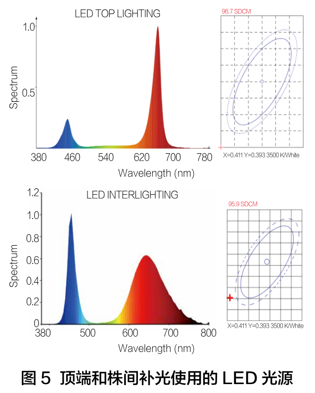 图5 顶端和株间补光使用的LED光源