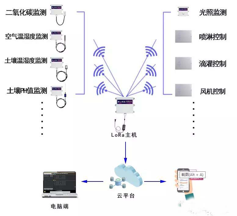 远程监控.jpg