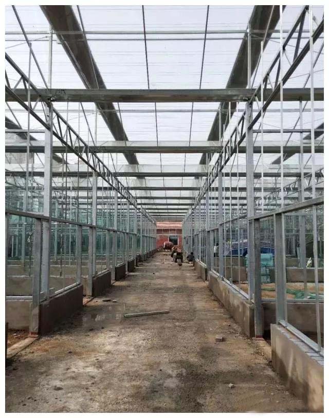 温室大棚接露系统.jpg