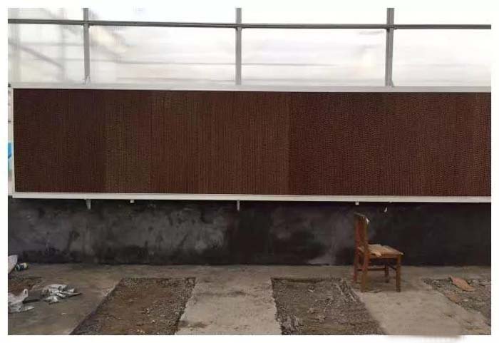 温室大棚湿帘系统.jpg