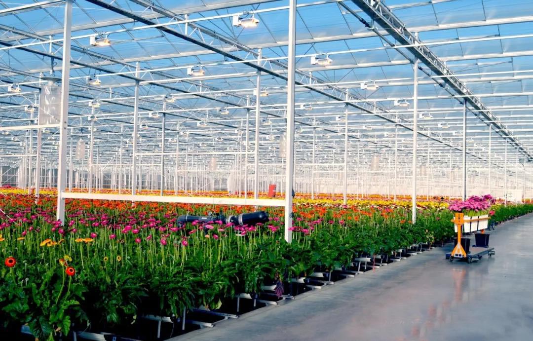 花卉种植温室.jpg