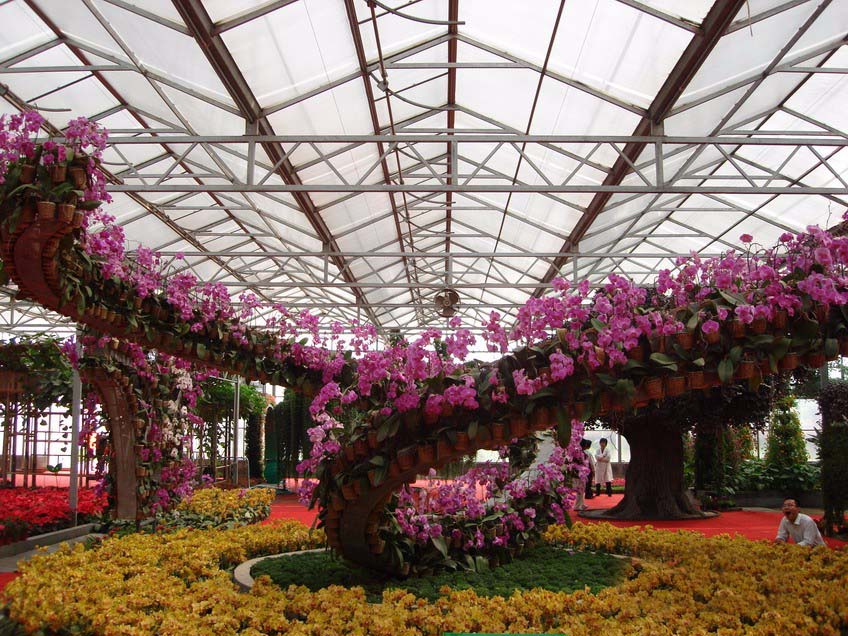 花卉展厅温室.jpg
