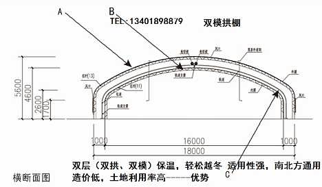 双层大跨度拱棚.jpg