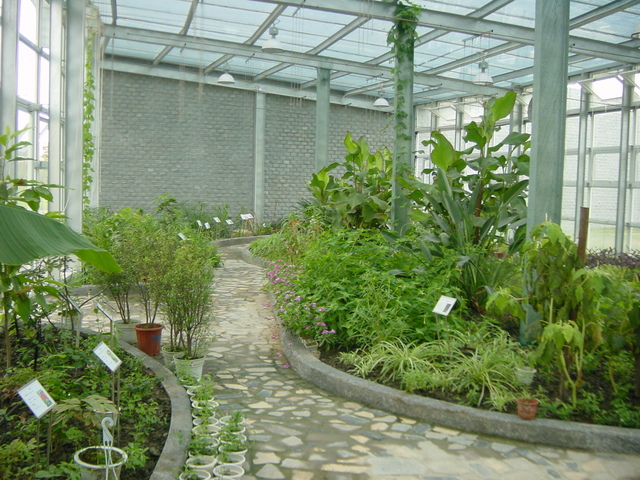 温室公园.jpg