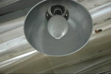 温室植物补光灯.jpg