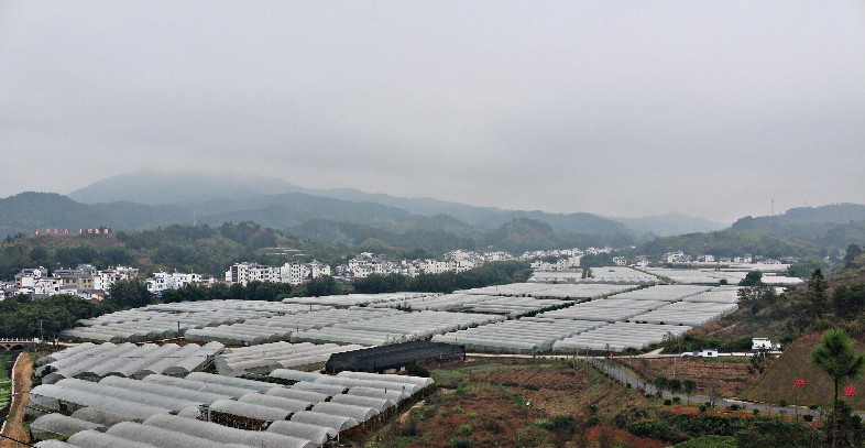 田园综合体的温室大棚.jpg