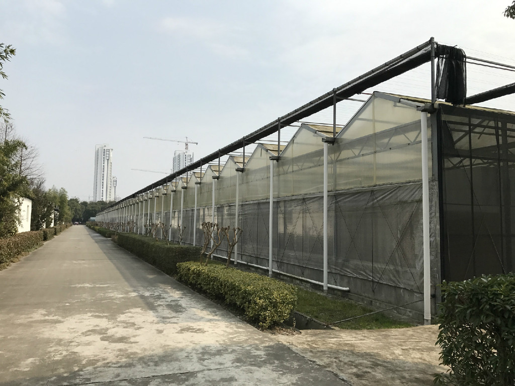 新型温室大棚.jpg